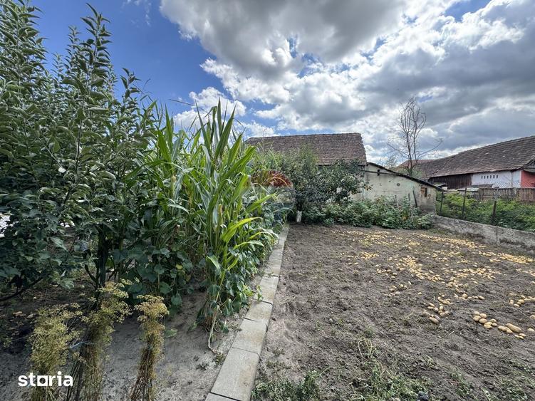 Casă cu 5 camere cu Teren 738 Mp în Alma