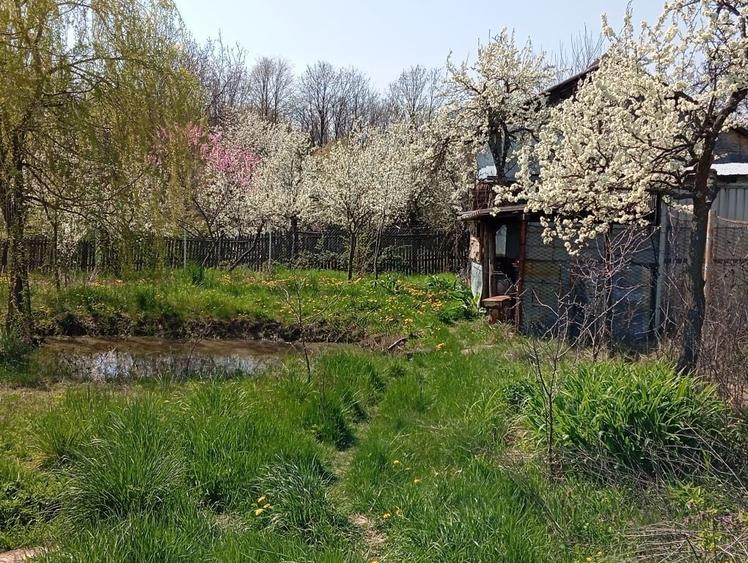 Casă cu 3 camere în Crucișoara