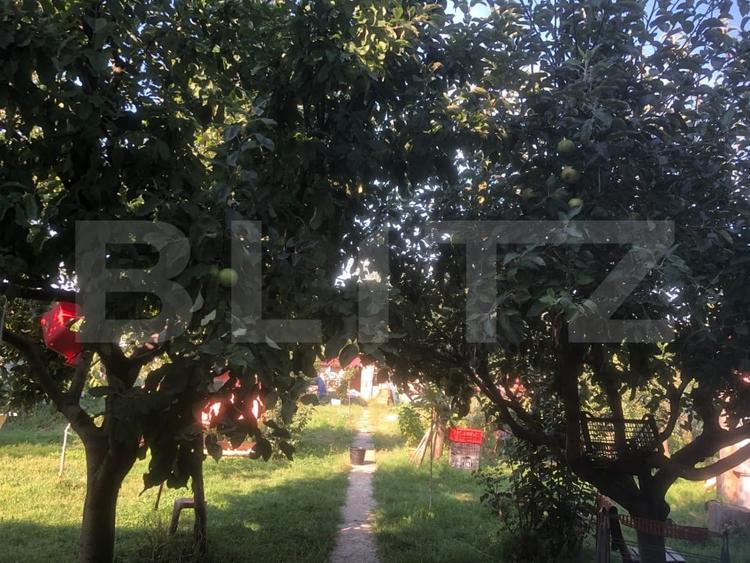 Casă individuală cu 5 camere cu Canalizare în Careiului