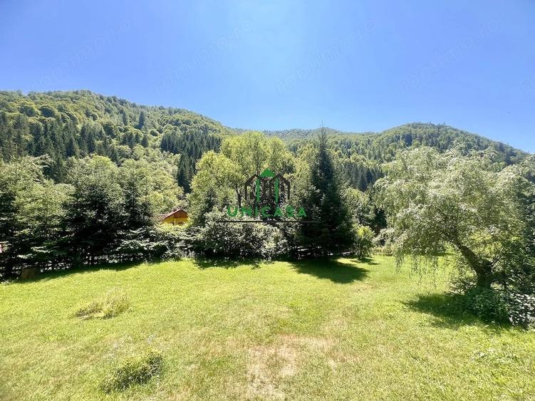 Casă cu Teren 2560 Mp în Voineșița