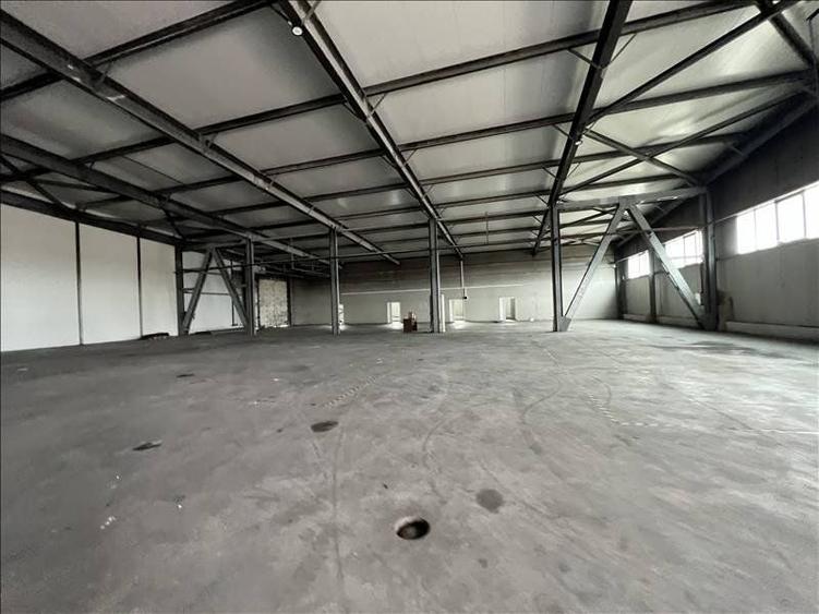 Spațiu comercial, de 3,290 mp, în Carani