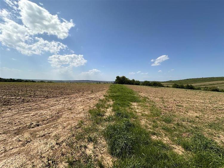 Teren extravilan de 950 mp, în Bârnova