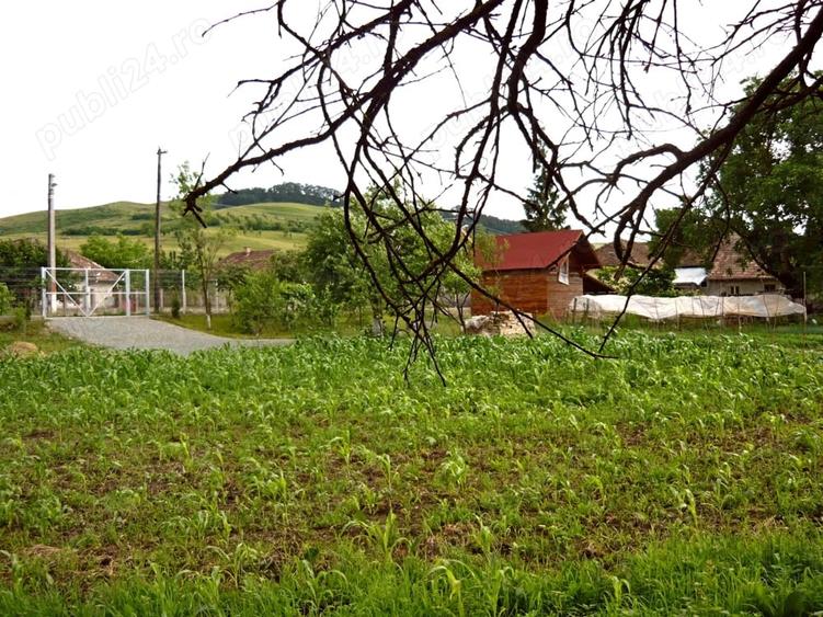 Teren de 4000 mp, în Central