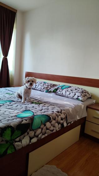 Apartament 2 camere, zona nord - 8
