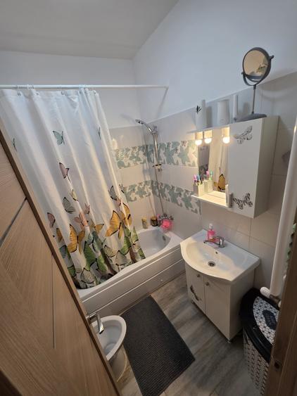 Apartament cu 2 camere în Roșu