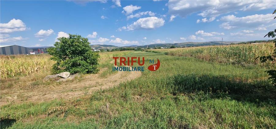 Teren Construcții intravilan de 5900 mp, în Periferie