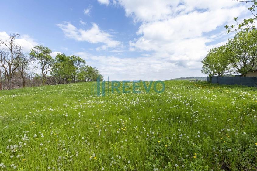 Teren agricol intravilan de 4138 mp, în Blăgești