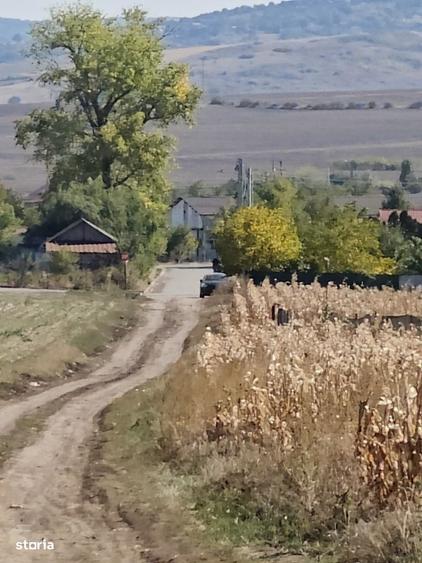 Spațiu comercial, în Voinești