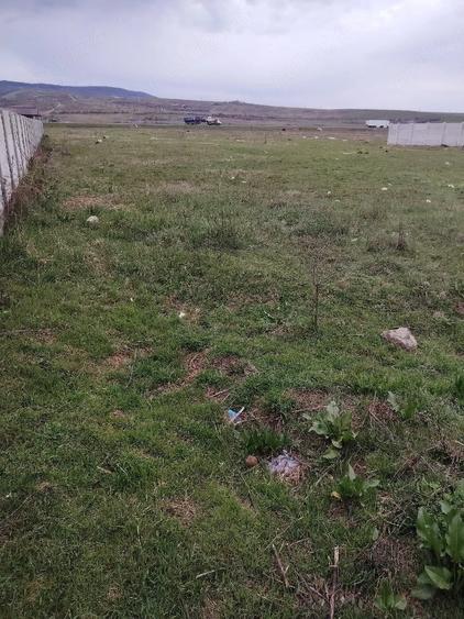 Teren de 3000 mp, în Schela