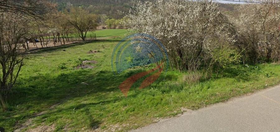Teren Construcții intravilan de 4300 mp, în Brădeștii Bătrâni
