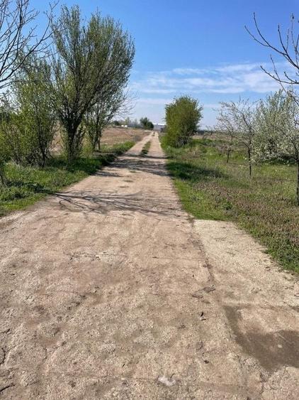 Teren Construcții extravilan de 3300 mp, în Central