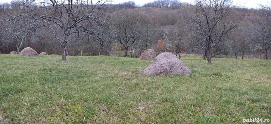 Teren de 4000 mp, în Cuieș