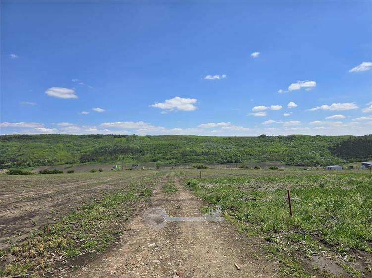 Teren intravilan de 665 mp, în Valea Lupului