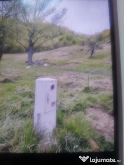 Teren de 10332 mp, în Mânzălești