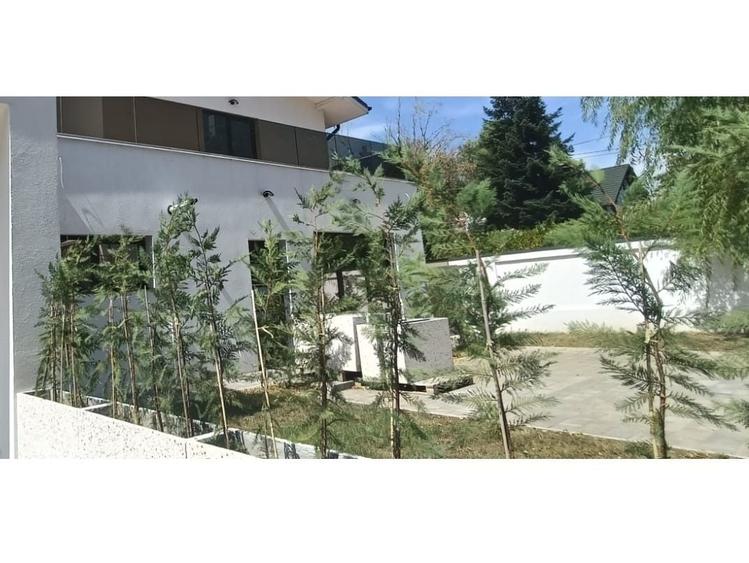 Apartament cu 3 camere decomandat în Păulești