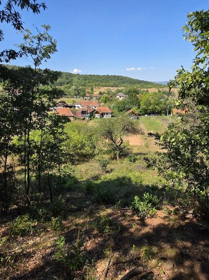Teren de 4903 mp, în Lunca (Baia de Criș)