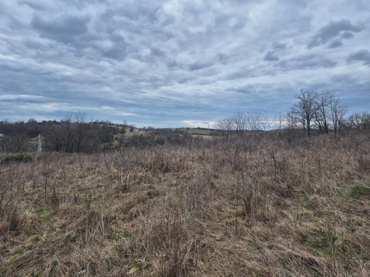 Teren agricol extravilan de 11400 mp, în Iabalcea