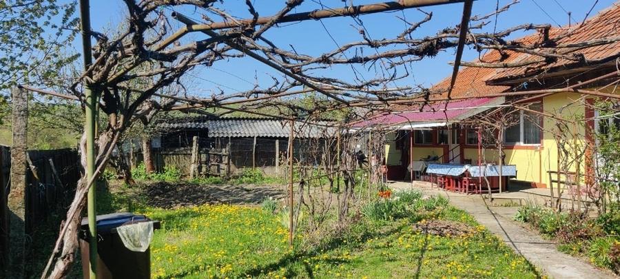 Casă individuală cu 3 camere cu Teren 7900 Mp în Săcelu