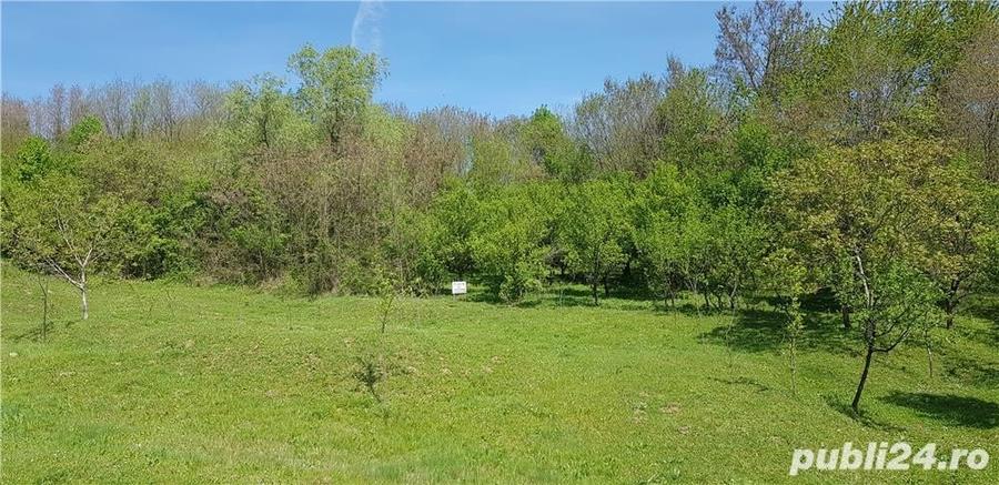 Teren de 2070 mp, în Vârfuri