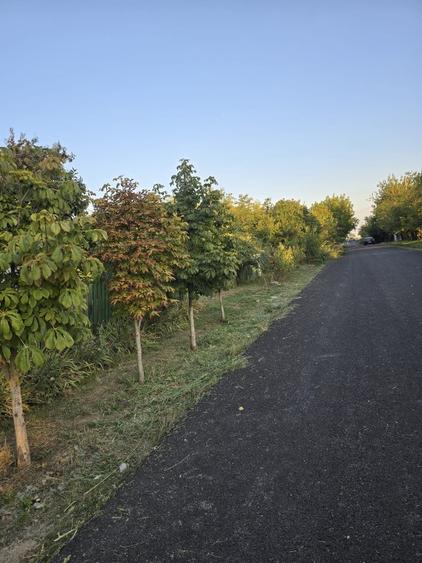 Casă cu 3 camere cu Teren 2000 Mp în Zimbru