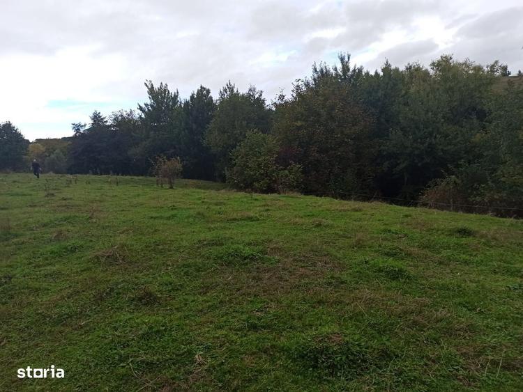 Parcele de teren intravilan cu utilitati-Rasinari-Sibiu - 3