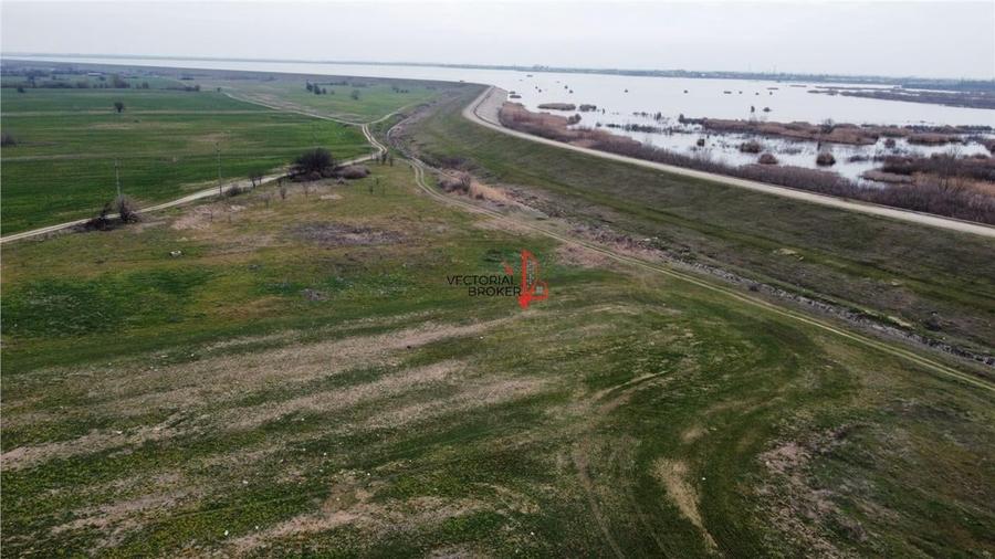 Teren agricol extravilan de 5800 mp, în Cornetu