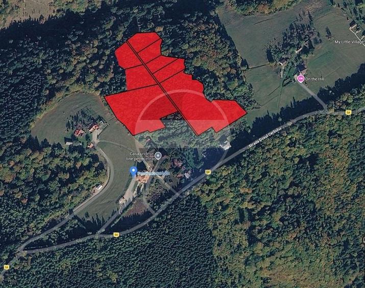 Teren agricol extravilan de 7083 mp, în Poiana Mărului