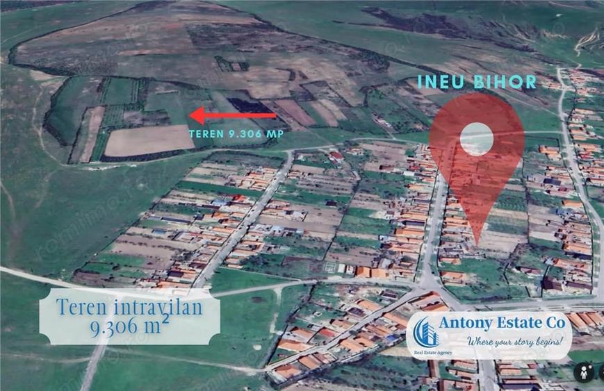 Teren de 9306 mp, în Ineu