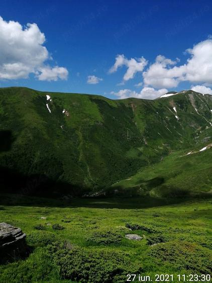 Teren de 185000 mp, în Padeș