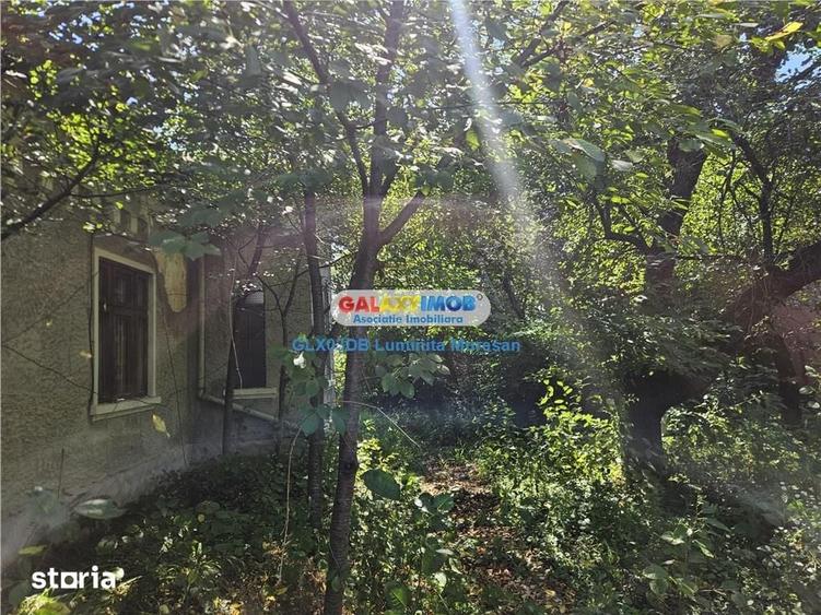 Vanzare casa batraneasca S + P teren Valea Voievozilor - 8