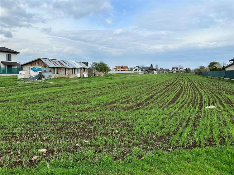 Teren Construcții intravilan de 3172 mp, în Strejnicu