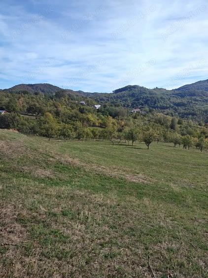 Teren de 8316 mp, în Berislăvești