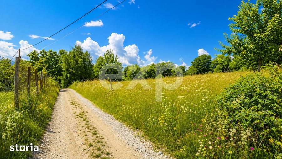 PANORAMA POIANA MARULUI | Teren cu potential de dezvoltare zona Afte - 2