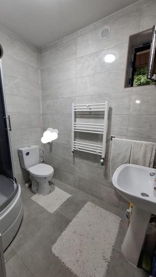 Casă cu 3 camere în Vișan