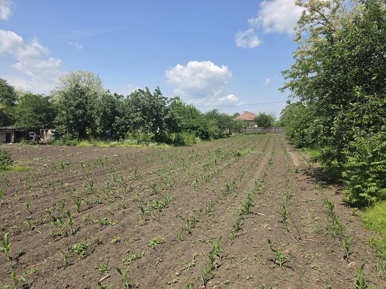 Casă individuală cu 3 camere cu Teren 2100 Mp în Dor Mărunt