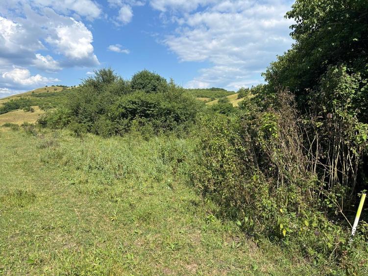Teren agricol extravilan de 2200 mp, în Vlaha
