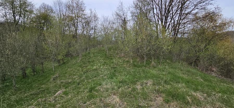 Teren de 3320 mp, în Provița de Sus