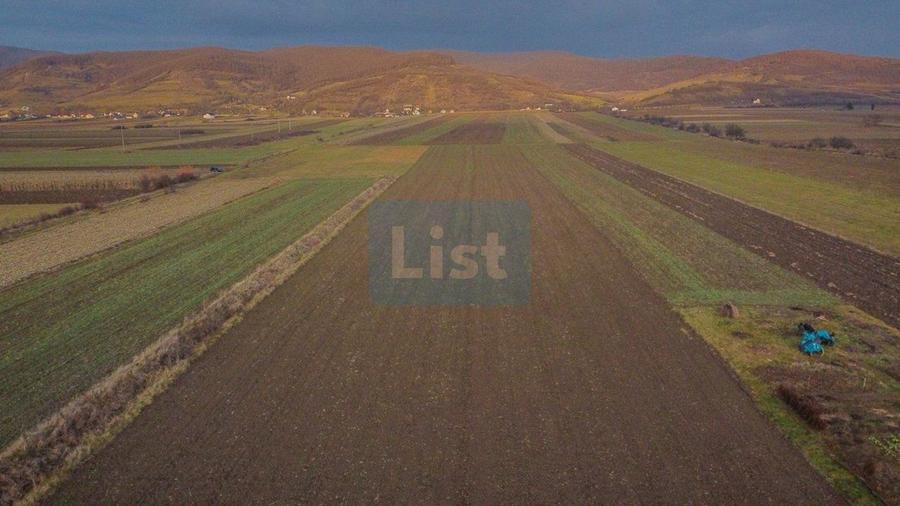 Teren agricol intravilan de 23600 mp, în Cășeiu