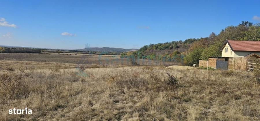Spațiu comercial, în Central