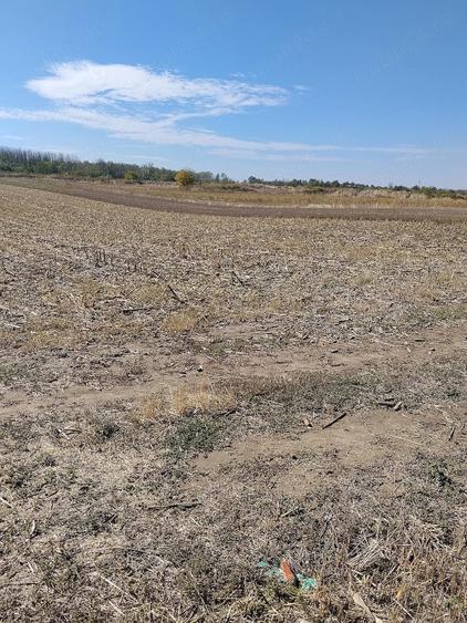Teren de 3700 mp, în Tântava