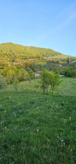 Teren de 4300 mp, în Cornereva