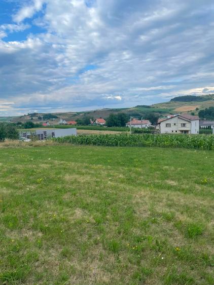 Teren Construcții intravilan de 5800 mp, în Baciu