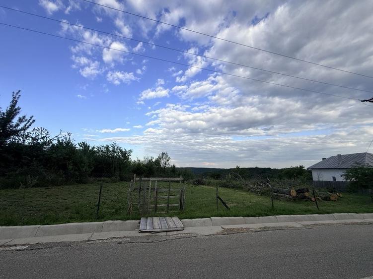 Teren de 3000 mp, în Băbana
