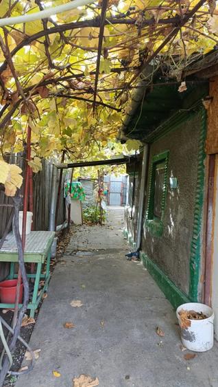 Casă cu 4 camere cu Teren 256 Mp în Radu Negru