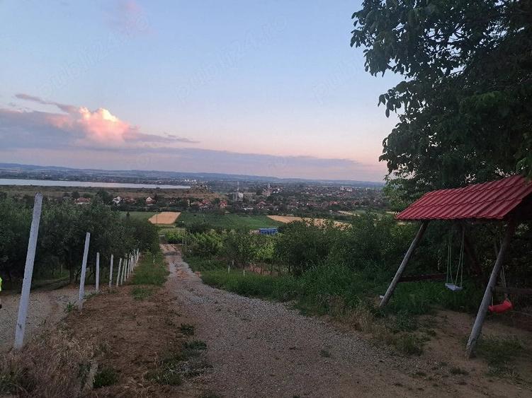 Teren de 1300 mp, în Tileagd