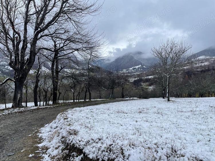 Teren de 5100 mp, în Rusca
