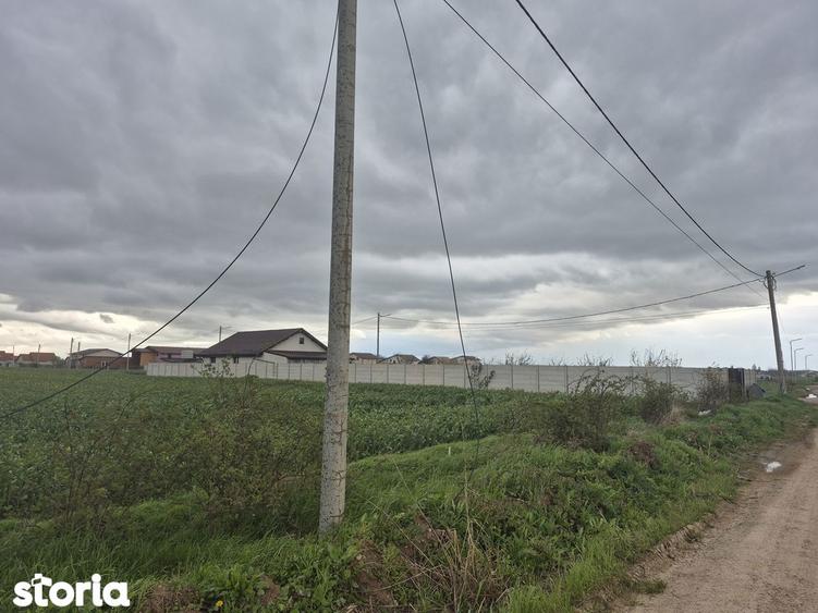 Teren Balotesti 600 mp,langa casa locuita,electricitate ,gaz-70 metri - 12