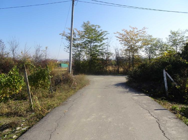 Teren de 2600 mp, în Drăgășani