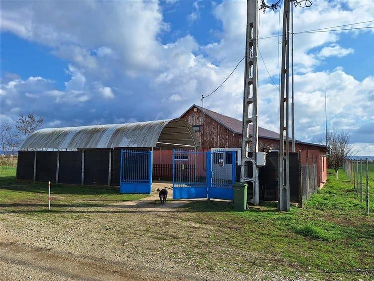 Casă individuală cu 3 camere cu Canalizare în Săbolciu