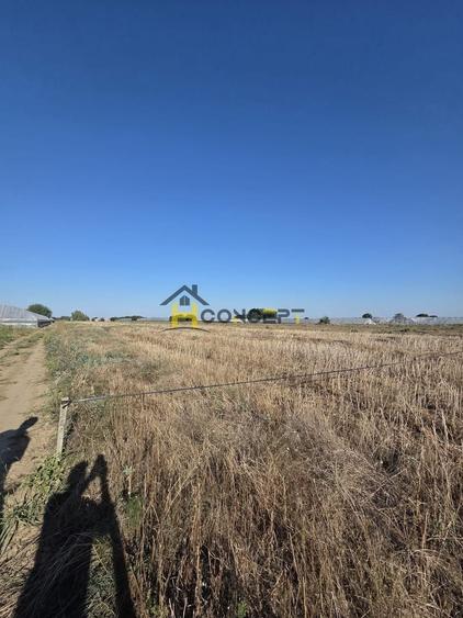 Teren Construcții intravilan de 10000 mp, în Câmpurelu